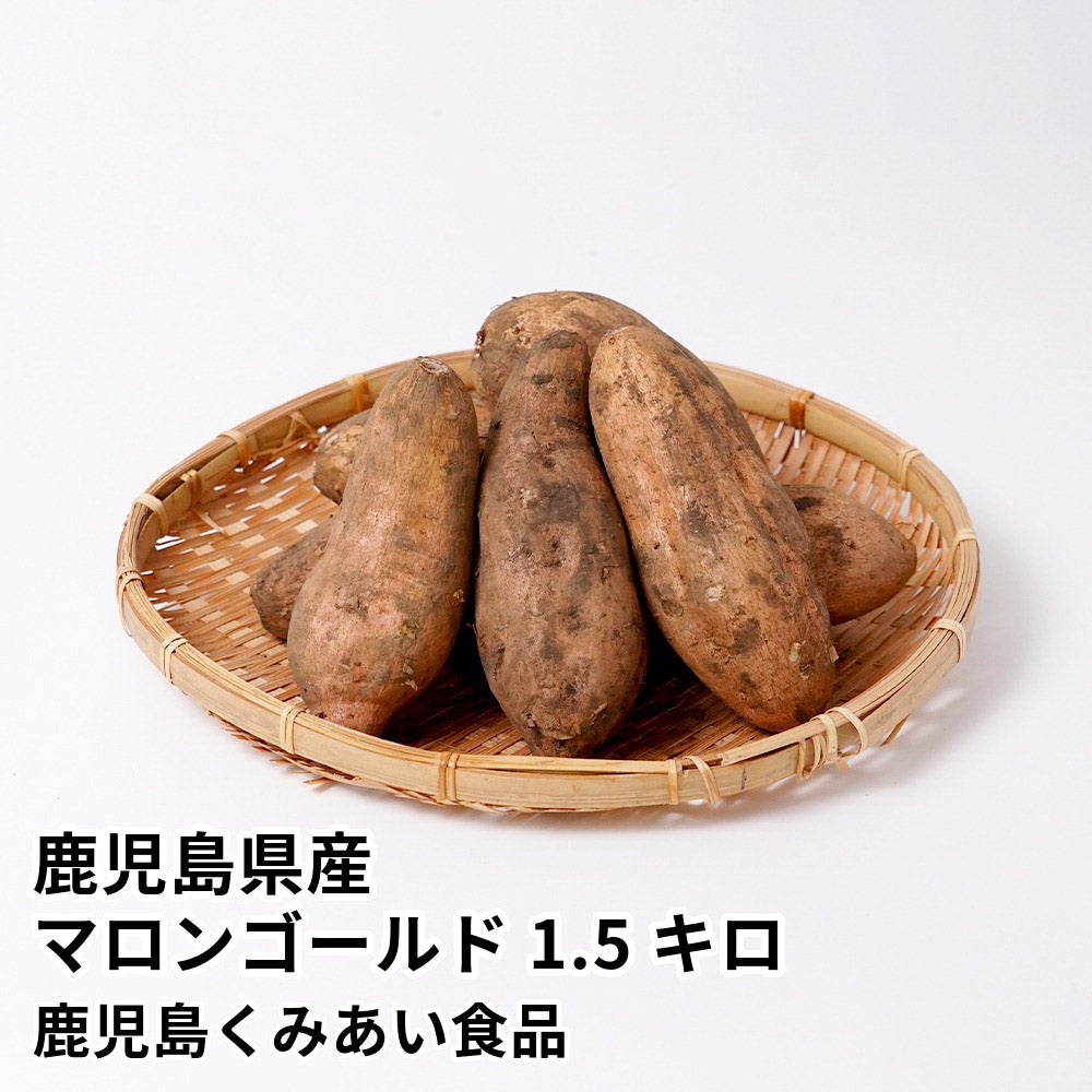 鹿児島県産 マロンゴールド 生芋 1.5キロ 5～8本 2L～Mサイズの商品画像01