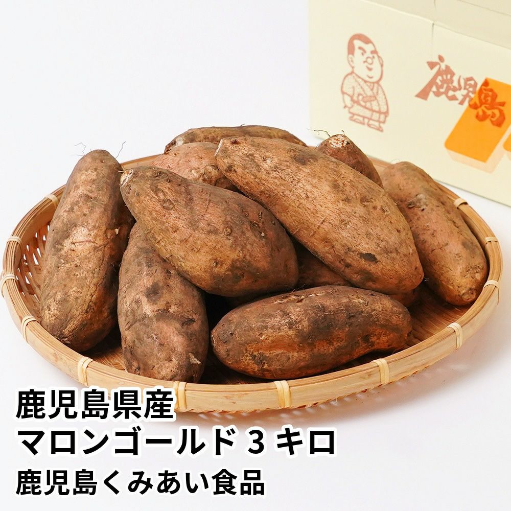 鹿児島県産 マロンゴールド 生芋 3キロ 8～15本のギフト通販・お