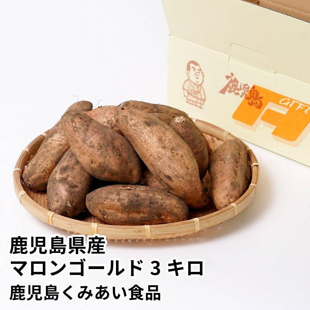 鹿児島県産 マロンゴールド 生芋 3キロ 8～15本 2L～Mサイズの商品画像01