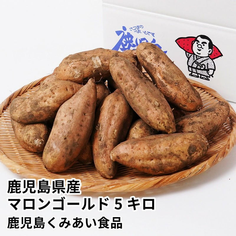 鹿児島県産 マロンゴールド 生芋 5キロ 13～22本 2L～Mサイズの商品画像01