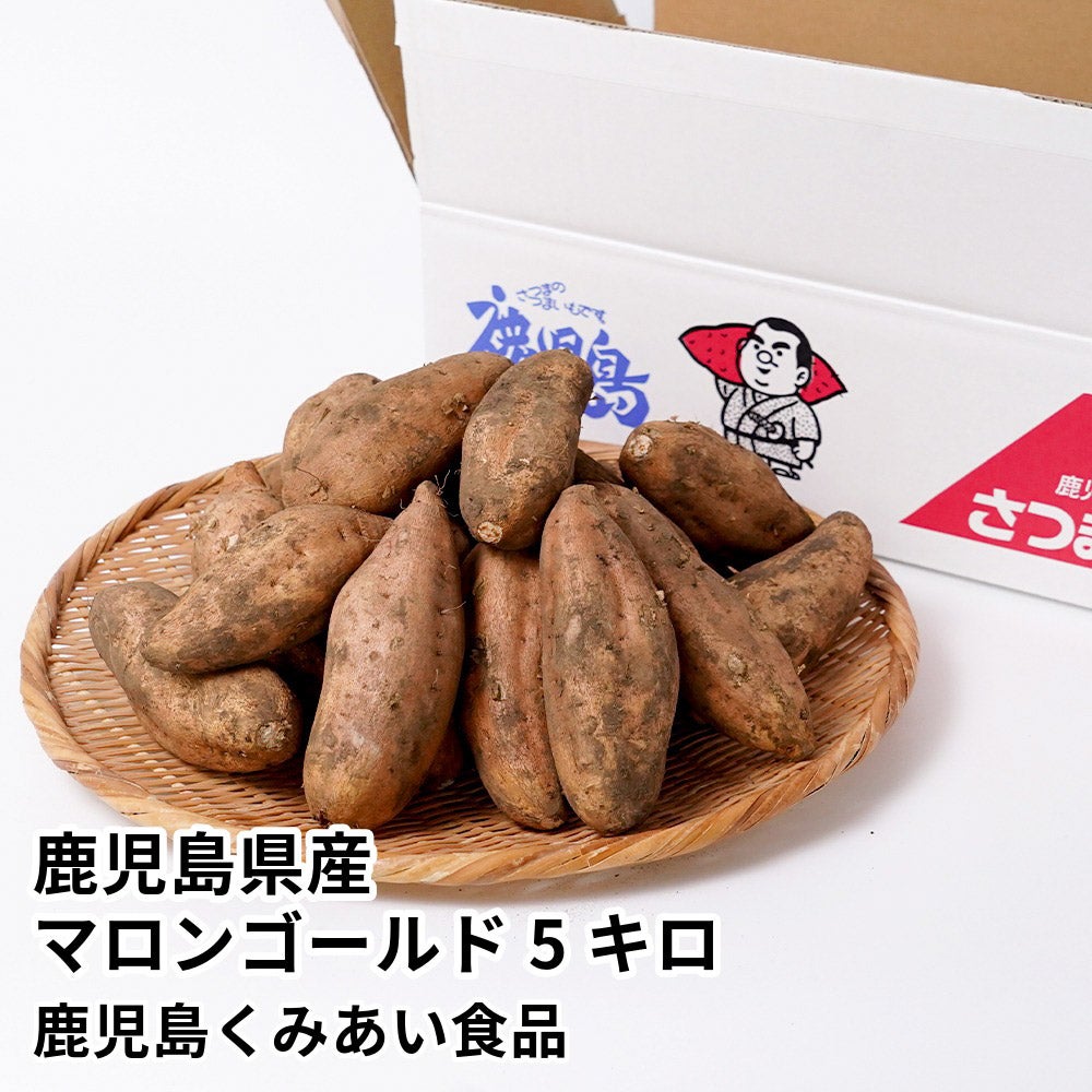 鹿児島県産 マロンゴールド 生芋 5キロ 13～22本 2L～Mサイズの商品画像01
