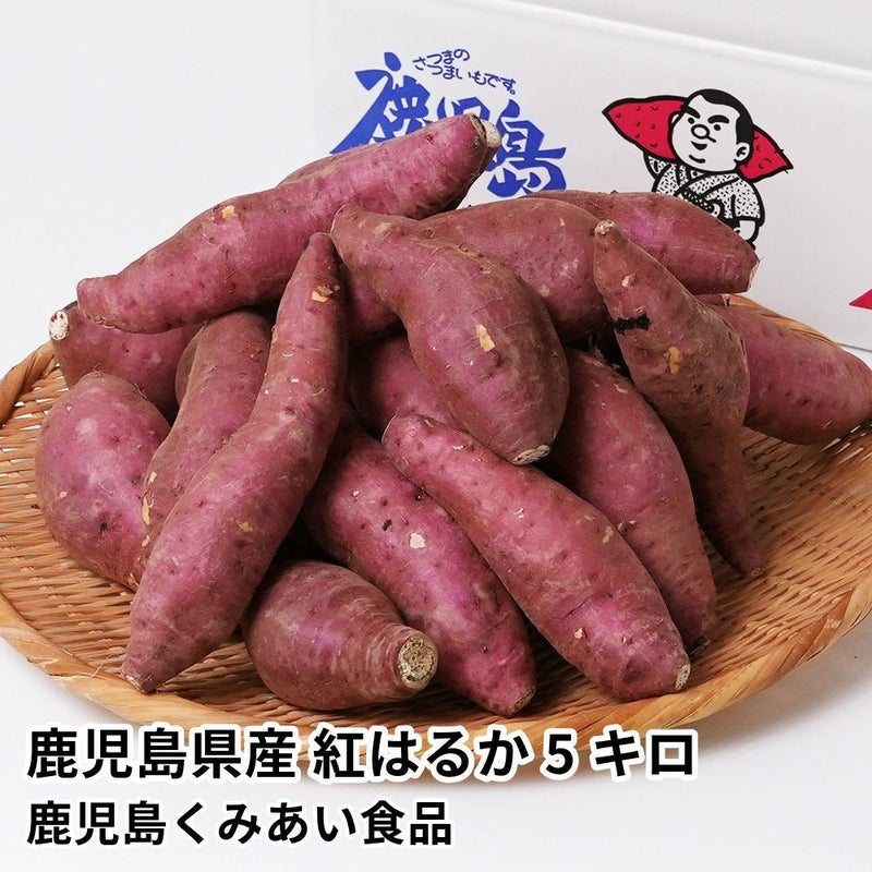 鹿児島県産 紅はるか 生芋 5キロ 13～22本 2L～Mサイズの商品画像01