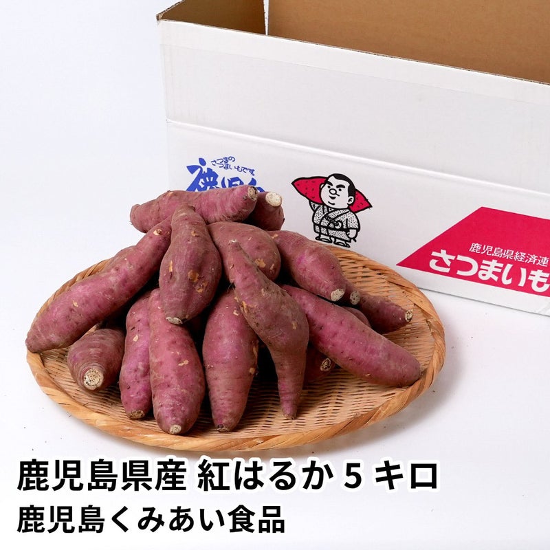 鹿児島県産 紅はるか 生芋 5キロ 13～22本 2L～Mサイズの商品画像01