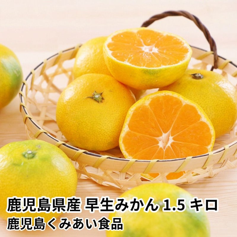 鹿児島県産 早生みかん 1.5キロ 14～19玉 L～2Sサイズの商品画像01