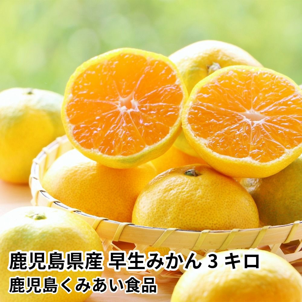 かんかんさん専用★新品未使用品★7型メモリーナビ イノベイティブ AZ-725 7インチワンセグ内蔵メモリーナビゲーション