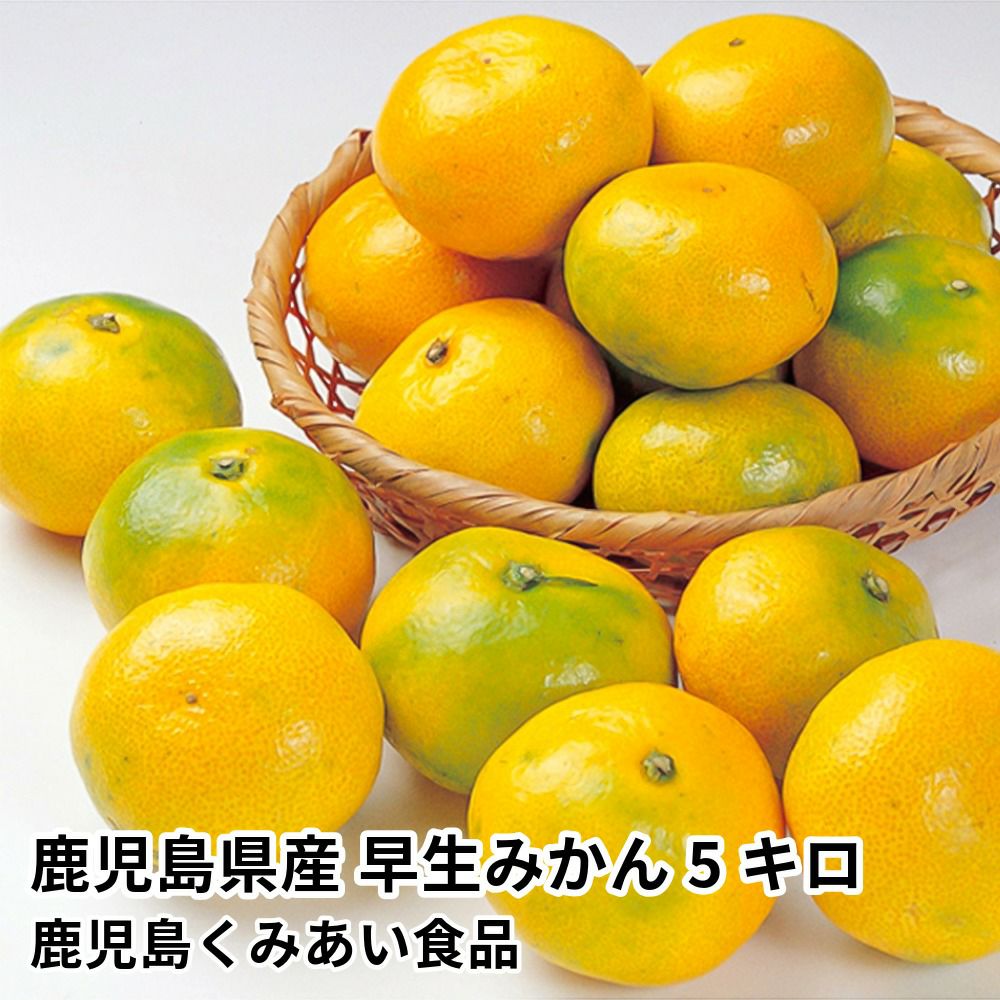 みかんのギフト通販・お取り寄せ | JA鹿児島ふるさと便【公式】