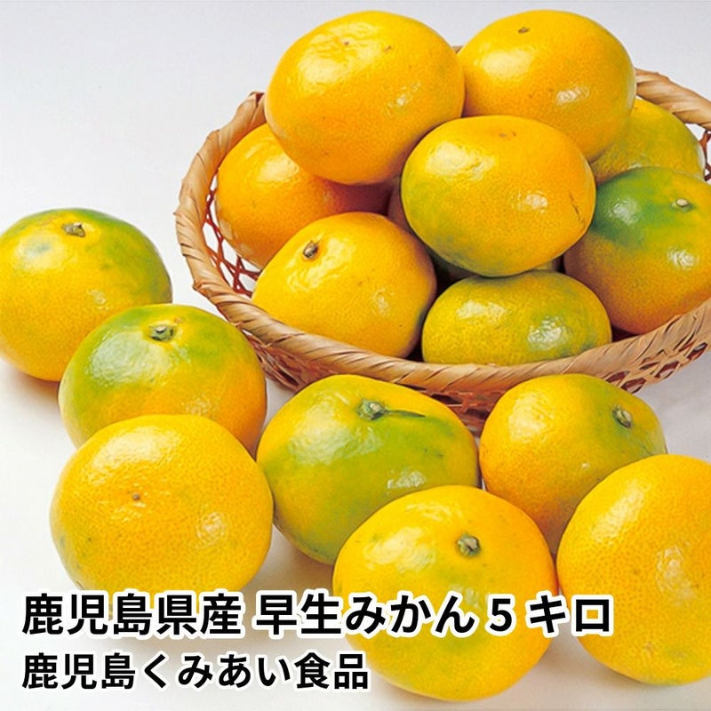 鹿児島県産 早生みかん 5キロ 40～63玉 L～2Sサイズの商品画像01