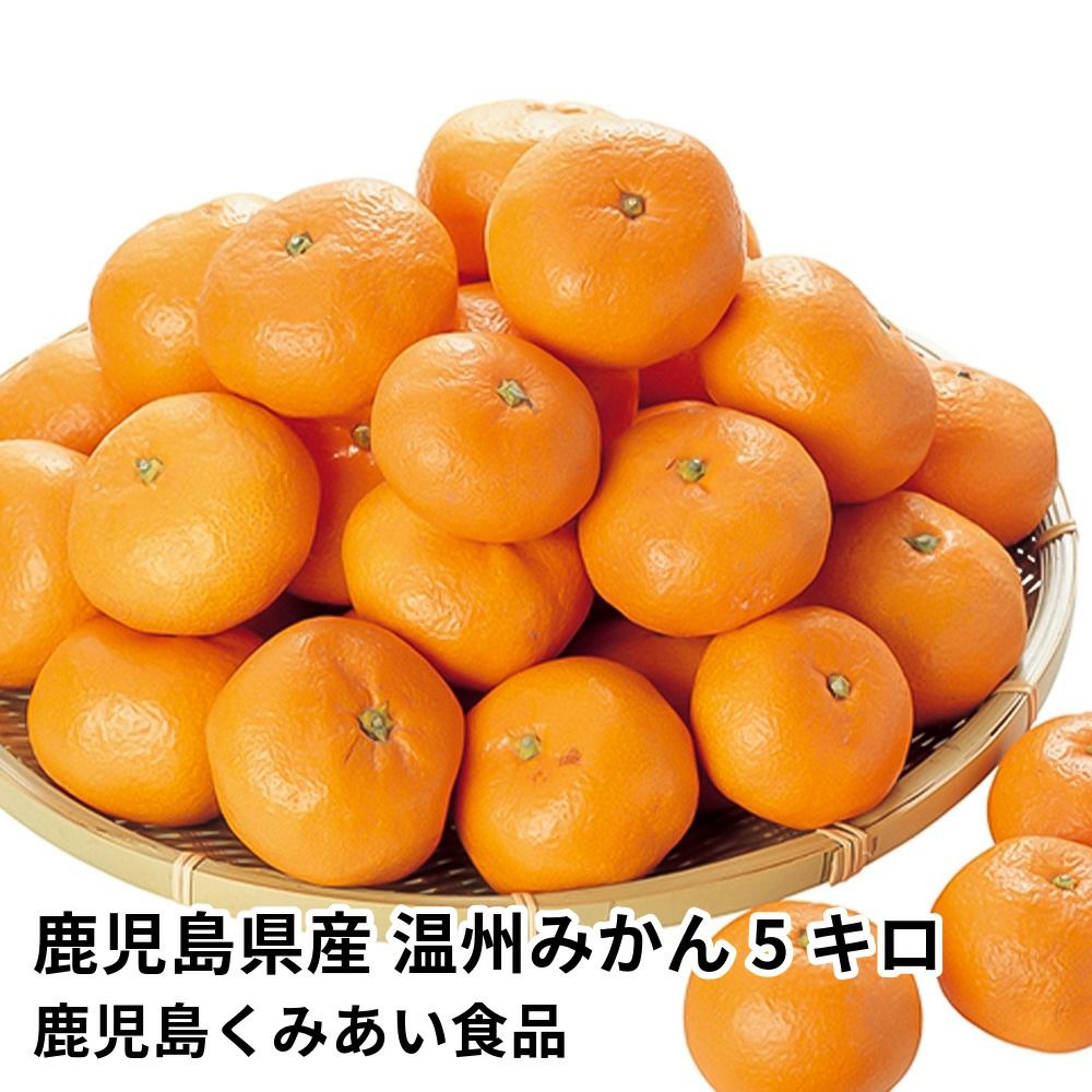 鹿児島県産 温州みかん 5キロ 40～60玉 L～Sサイズの商品画像01