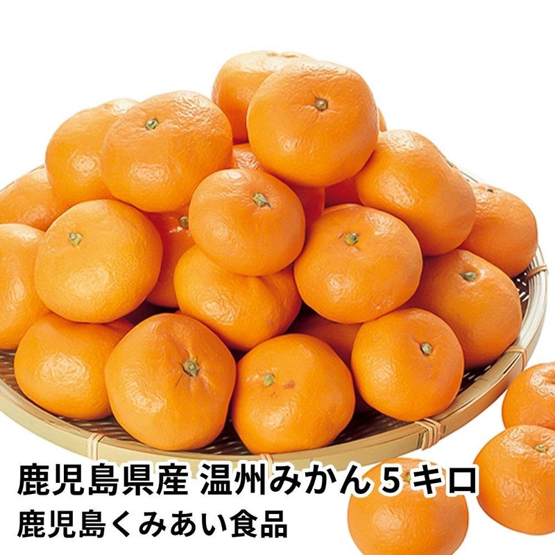 鹿児島県産 温州みかん 5キロ 40～60玉 L～Sサイズの商品画像01