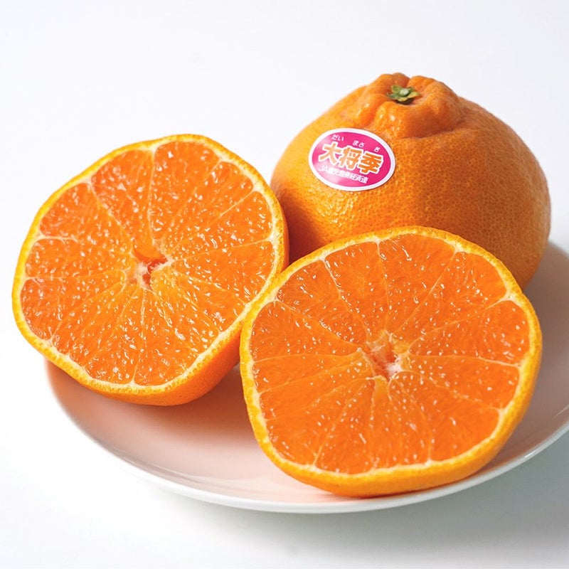 鹿児島県産 大将季 5キロ 12玉～20玉 5L～2Lサイズの商品画像02