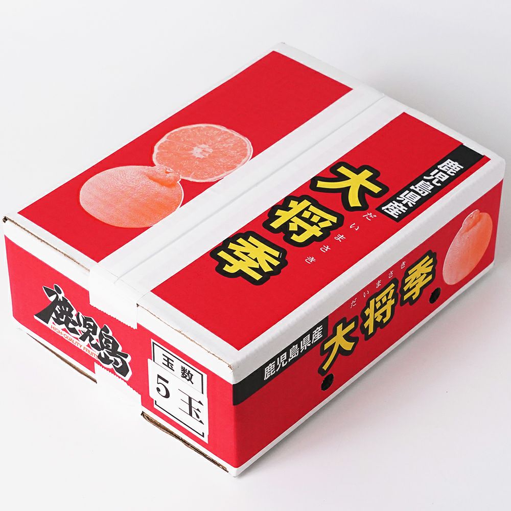 専用ページ 夏大将缶 79点 ランダム証明写真風キーホルダー 全5種（オーイシSSA 〜オーイシ