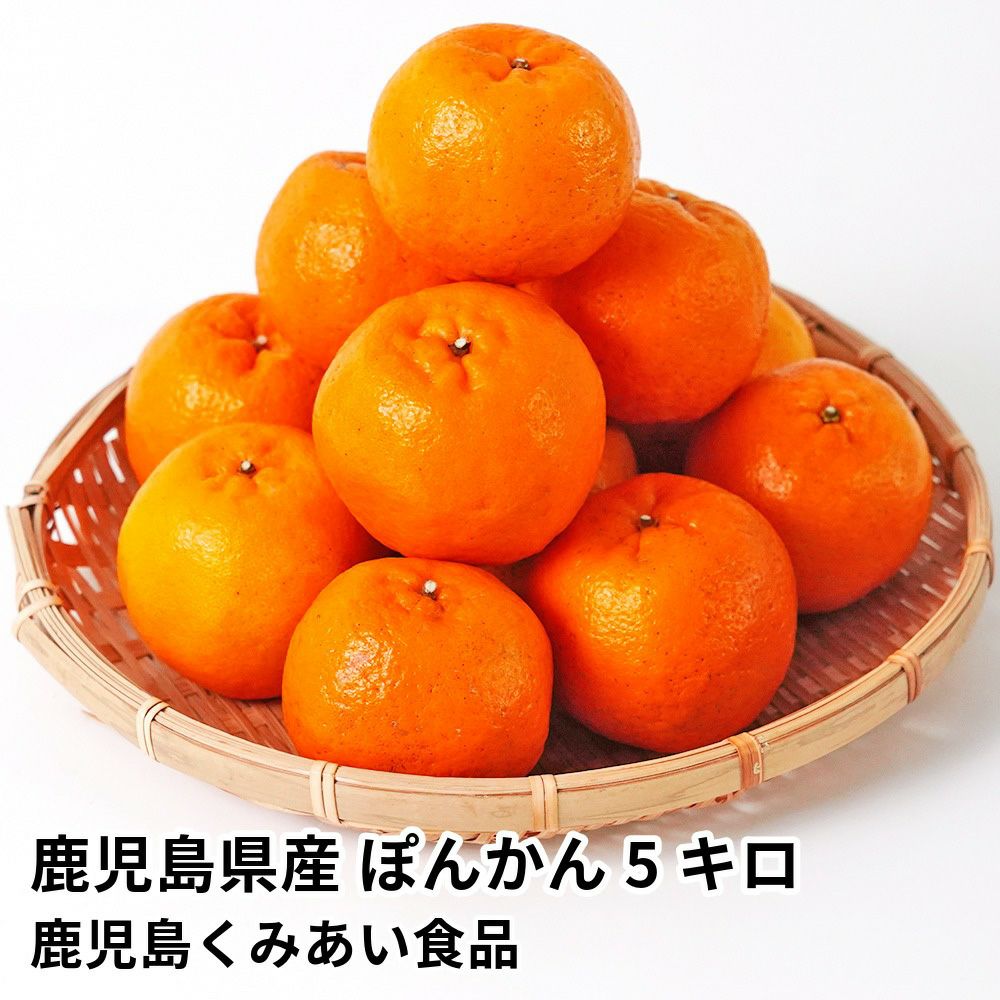 JAさつま日置のギフト通販・お取り寄せ商品をご紹介 | JA鹿児島