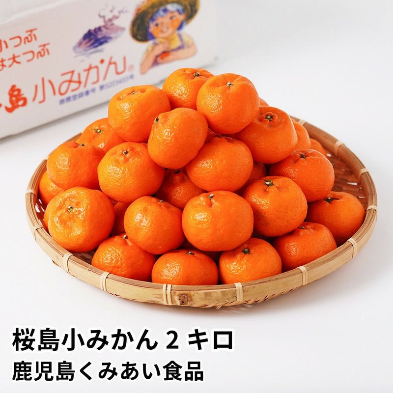 桜島小みかん 2キロ 約40玉 L～Mサイズの商品画像01