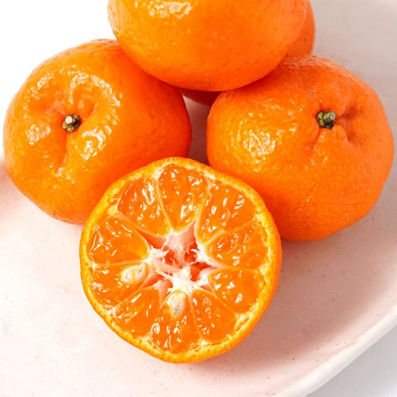 桜島小みかん 2キロ 約40玉 L～Mサイズの商品画像02