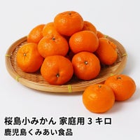 桜島小みかん 家庭用 3キロ 2L～Mサイズの商品画像01
