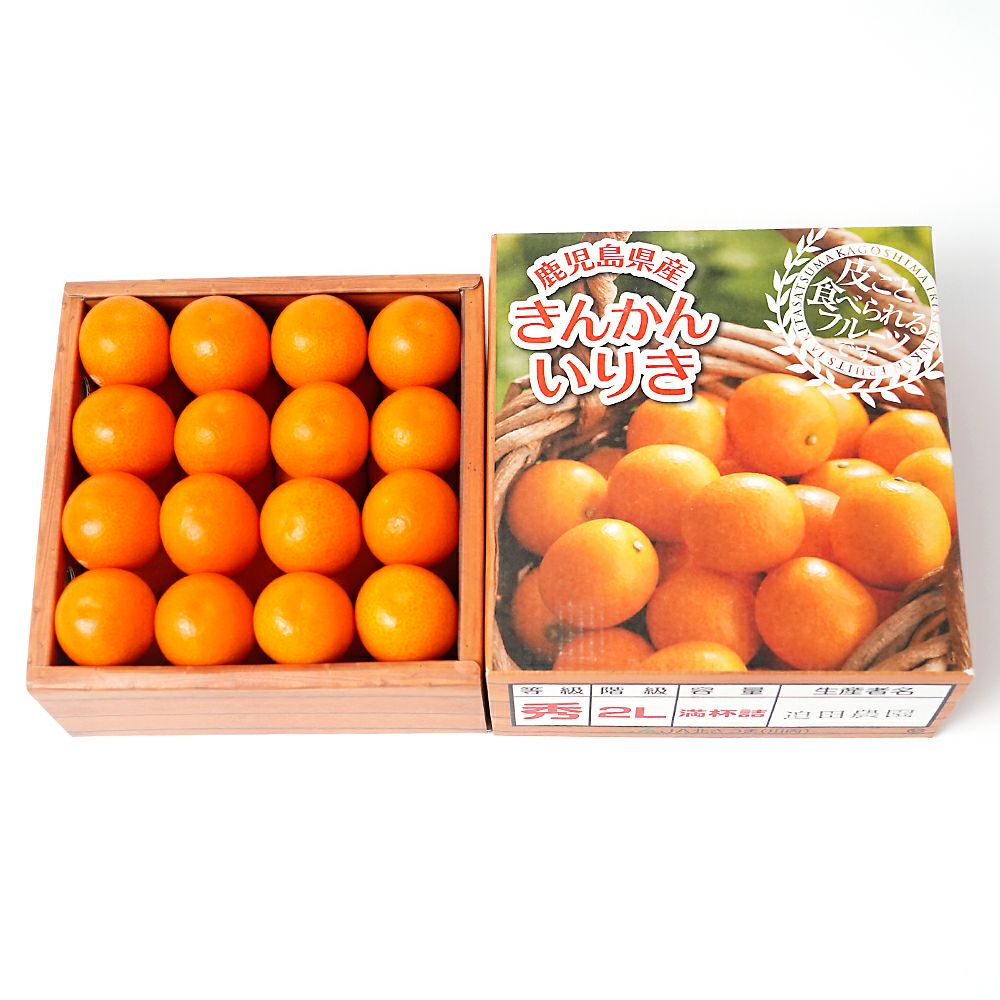 鹿児島県産 大玉きんかん 800グラム 3L～2Lサイズの商品画像02