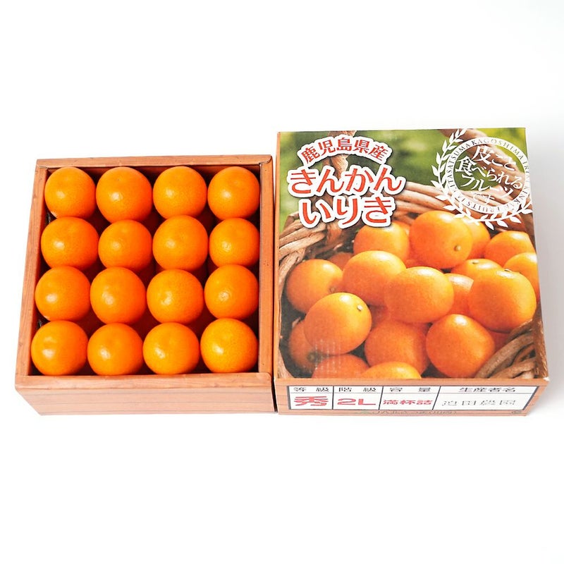 鹿児島県産 大玉きんかん 800グラム 3L～2Lサイズの商品画像02