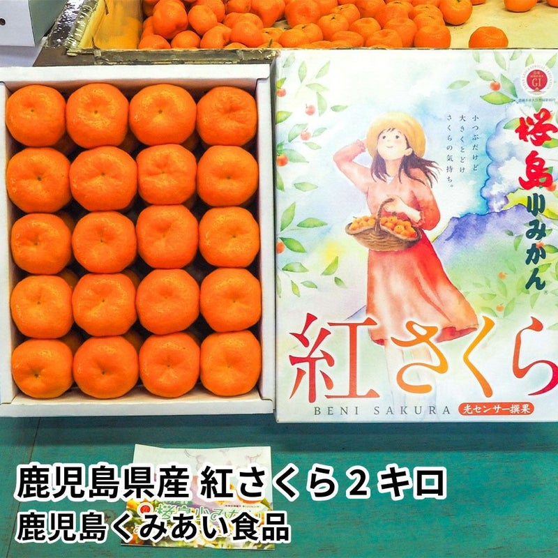 鹿児島県産 紅さくら 2キロ Lサイズの商品画像01