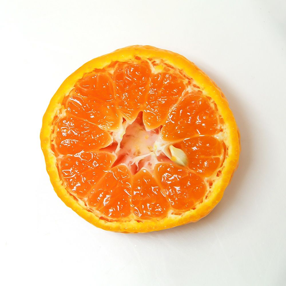 鹿児島県産 紅さくら 2キロ Lサイズの商品画像03