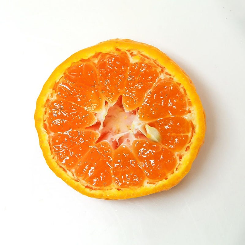 鹿児島県産 紅さくら 2キロ Lサイズの商品画像03