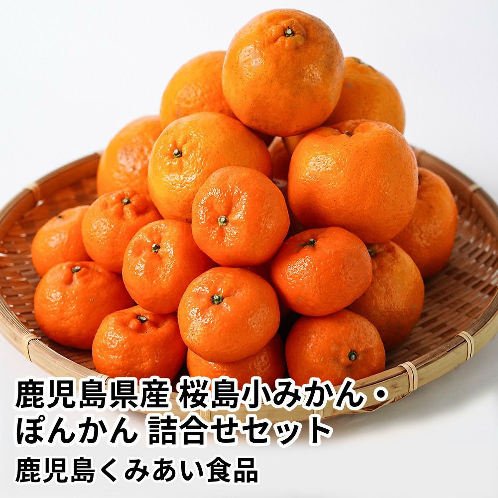 桜島小みかん・ぽんかん 詰合せセットのギフト通販・お取り寄せ | JA