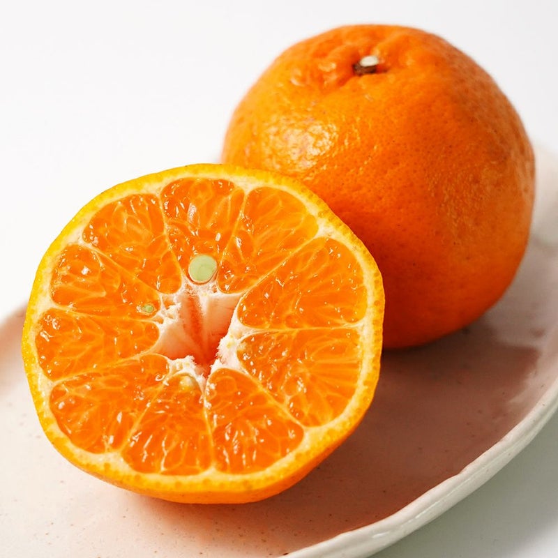 鹿児島県産 桜島小みかん・ぽんかん 詰合せセットの商品画像02