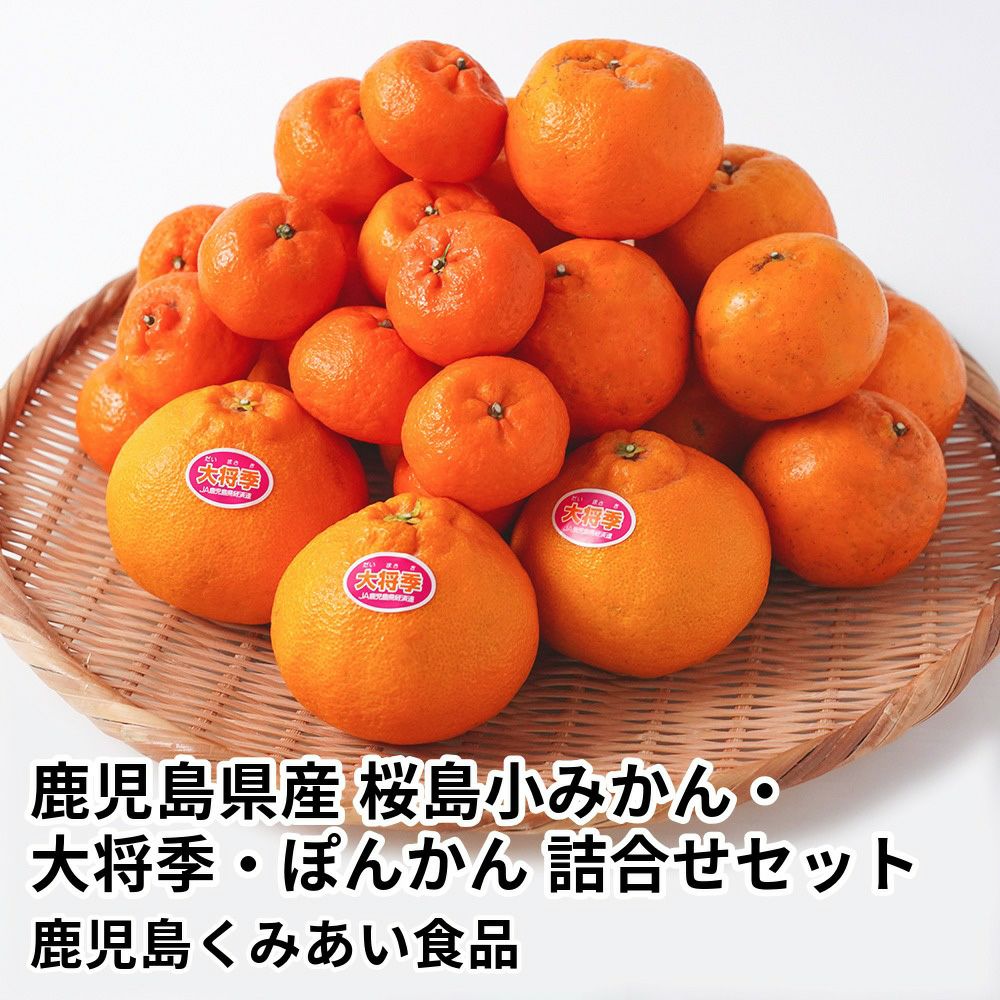 専用ページ 夏大将缶 79点 鹿児島県産 大将季 3キロ 5L～2Lサイズのギフト通販・お取り寄せ | JA