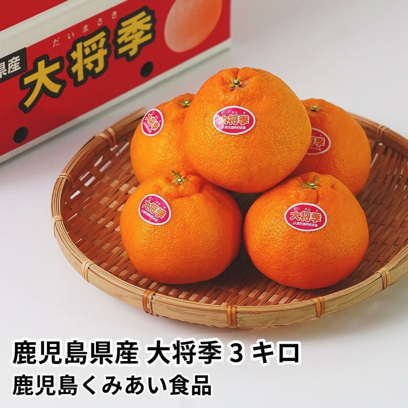 鹿児島県産 大将季 3キロ 7玉～12玉 5L～2Lサイズの商品画像01