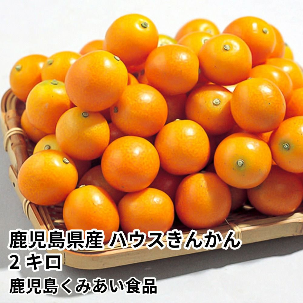 鹿児島県産 ハウスきんかん 2キロ 3L～2Lサイズの商品画像01