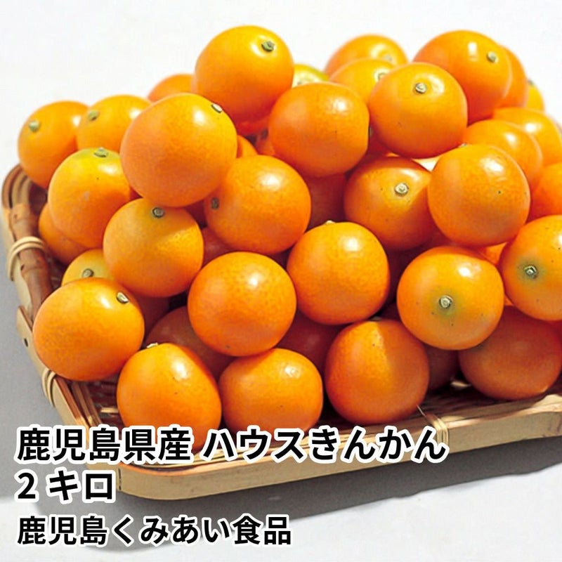 鹿児島県産 ハウスきんかん 2キロ 3L～2Lサイズの商品画像01