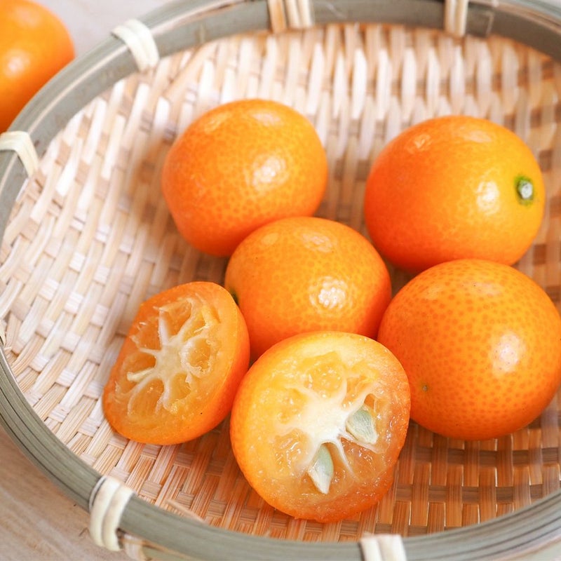 鹿児島県産 ハウスきんかん 2キロ 3L～2Lサイズの商品画像02