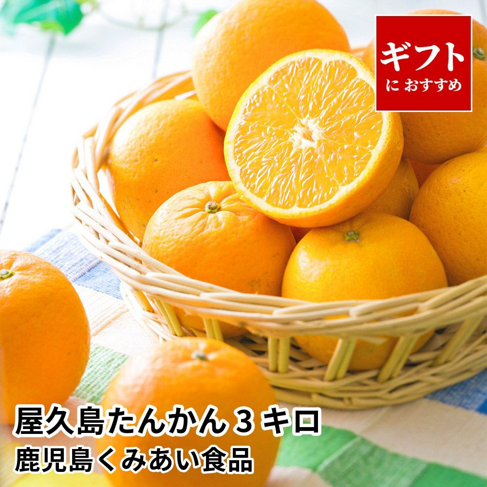屋久島たんかん ギフト用 3キロ 2L～Mサイズのギフト通販・お取り寄せ
