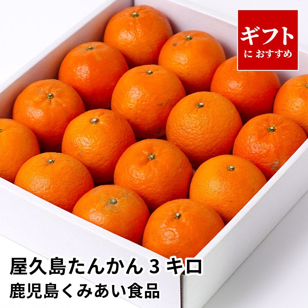屋久島たんかん 3キロ 2L～Mサイズの商品画像01