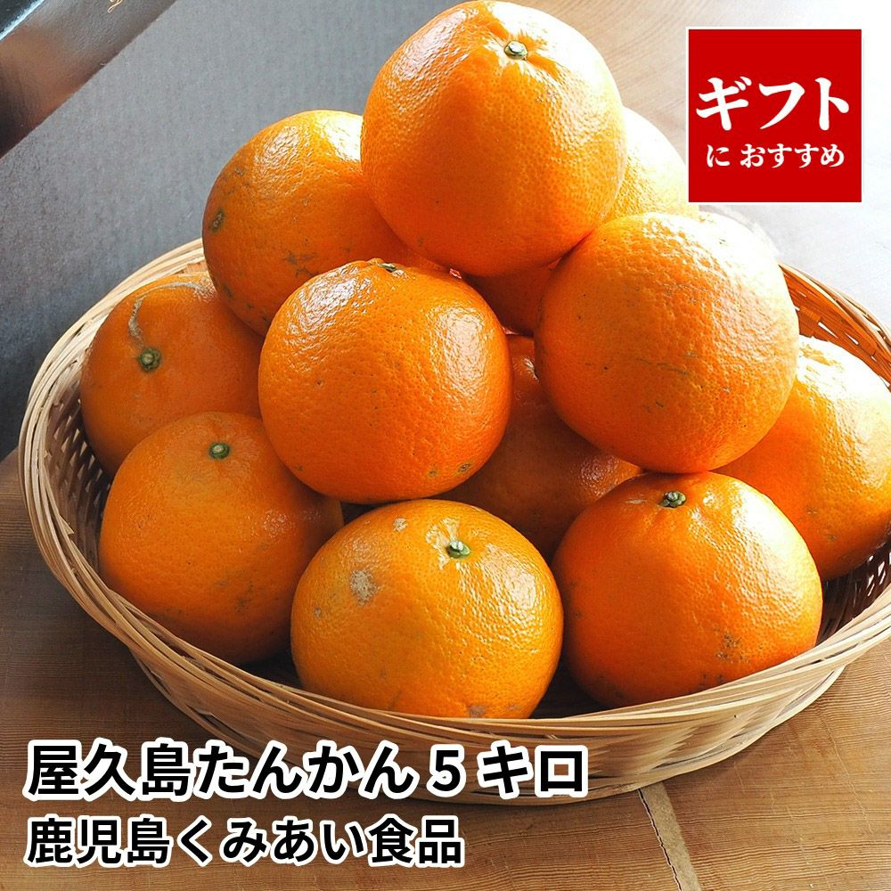 竜太郎　屋久島たんかん L 10キロ 完売しました】屋久島たんかん家庭用（10Kg） ＜ 屋久島物産展（春