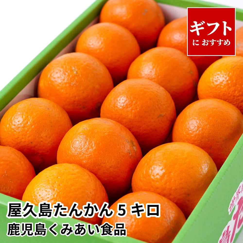 屋久島たんかん 5キロ 2L～Mサイズの商品画像01