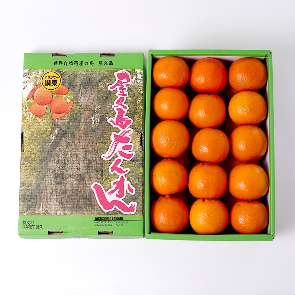 屋久島たんかん 5キロ 2L～Mサイズの商品画像02