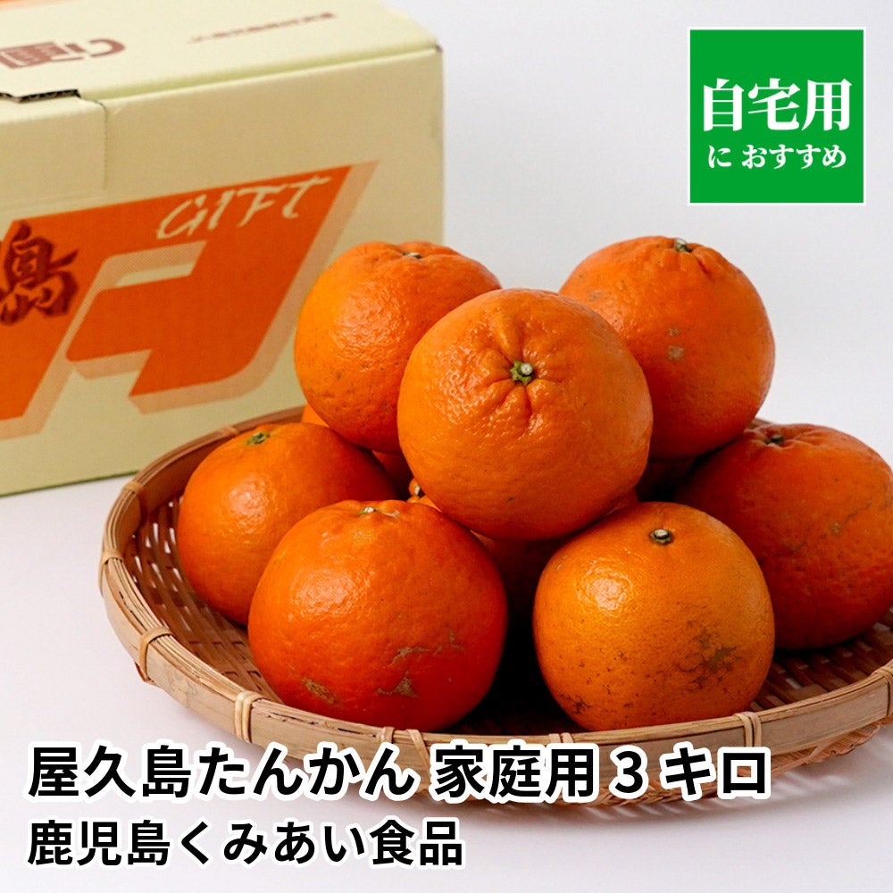 屋久島たんかん 家庭用 3キロ 2L～Sサイズの商品画像01