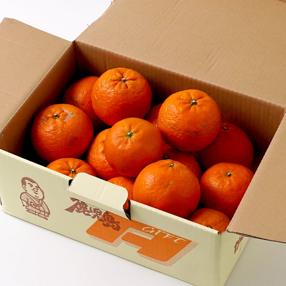 屋久島たんかん 家庭用 3キロ 2L～Sサイズの商品画像02