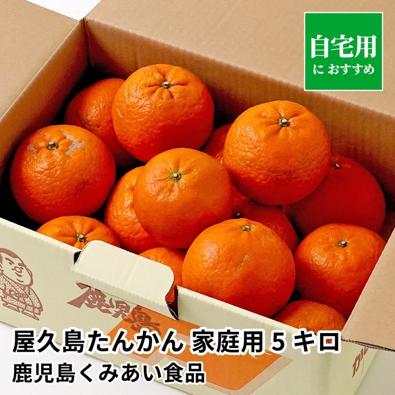 屋久島たんかん 家庭用 5キロ 2L～Sサイズの商品画像01