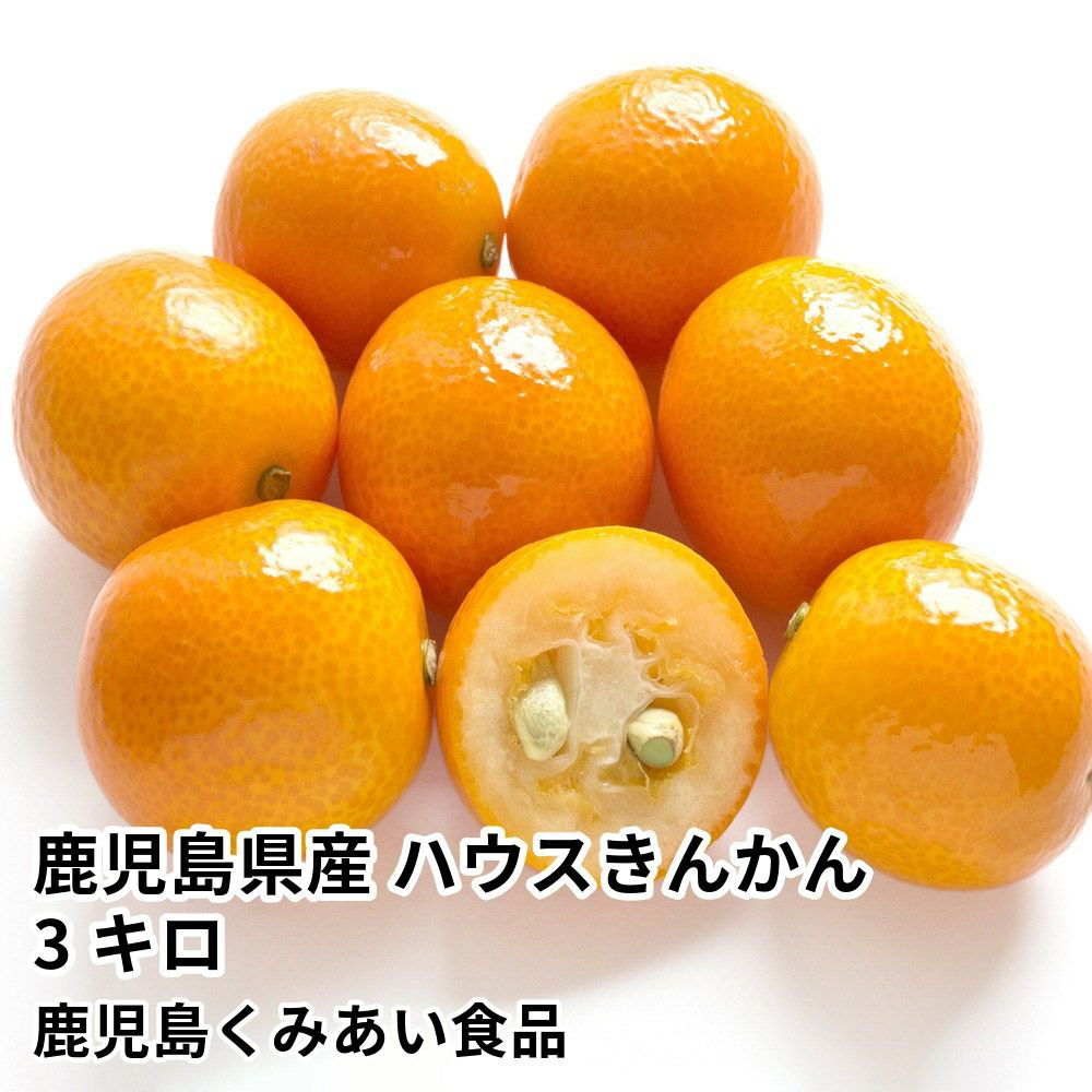 きんかん きんかんのギフト通販・お取り寄せ | JA鹿児島ふるさと便【公式】