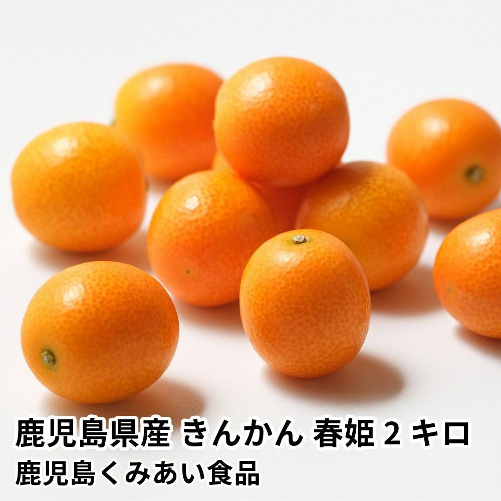 鹿児島県産 きんかん 春姫 2キロ 3L～Lサイズの商品画像01