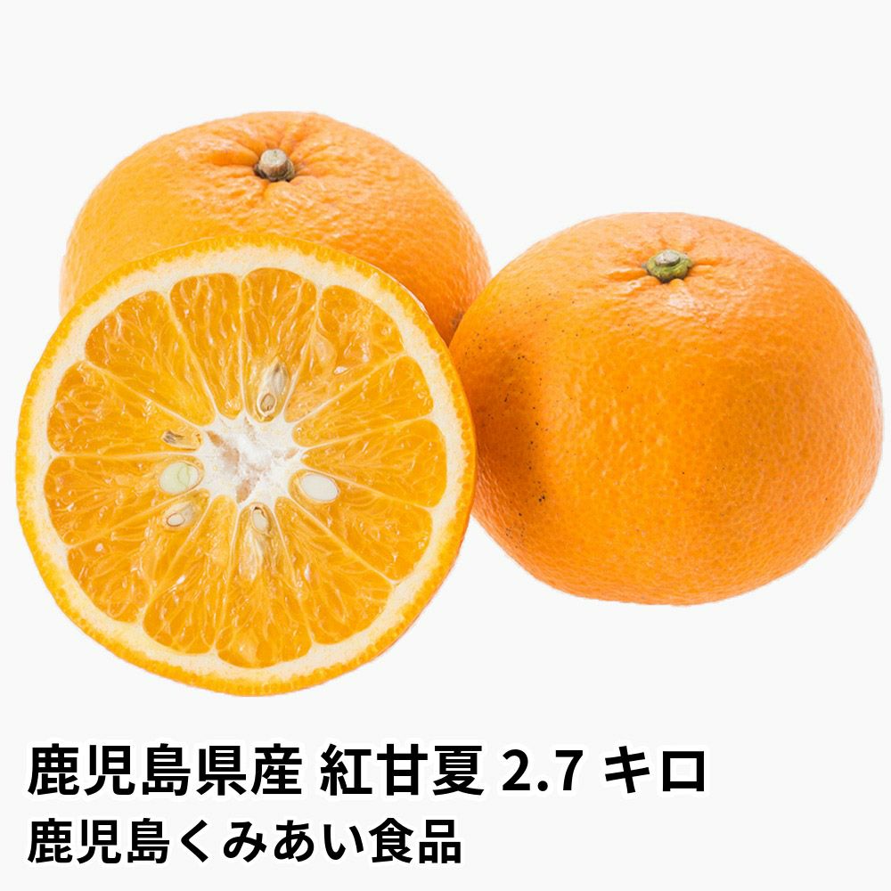 ギフト通販・お取り寄せ商品を特集から探す | JA鹿児島ふるさと便【公式】