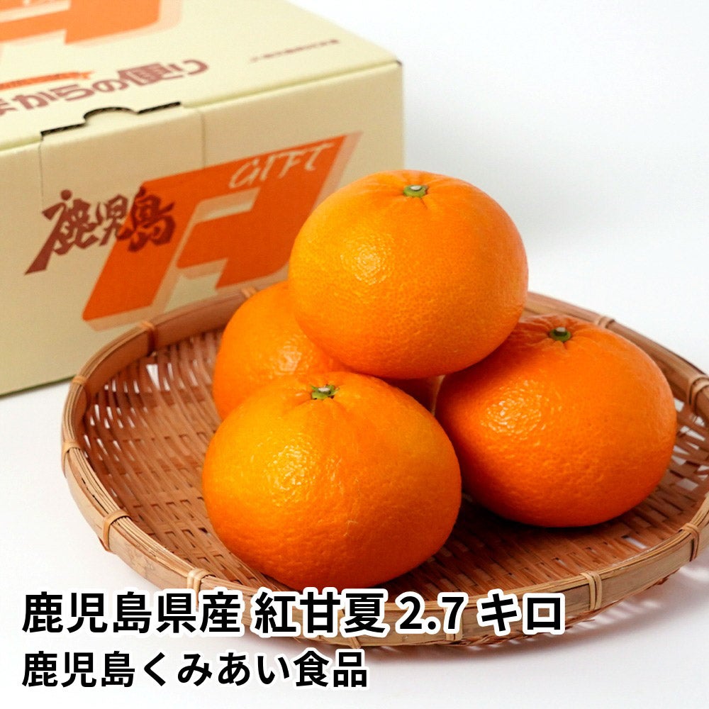 鹿児島県産 紅甘夏 2.7キロ 2L・Lサイズの商品画像01