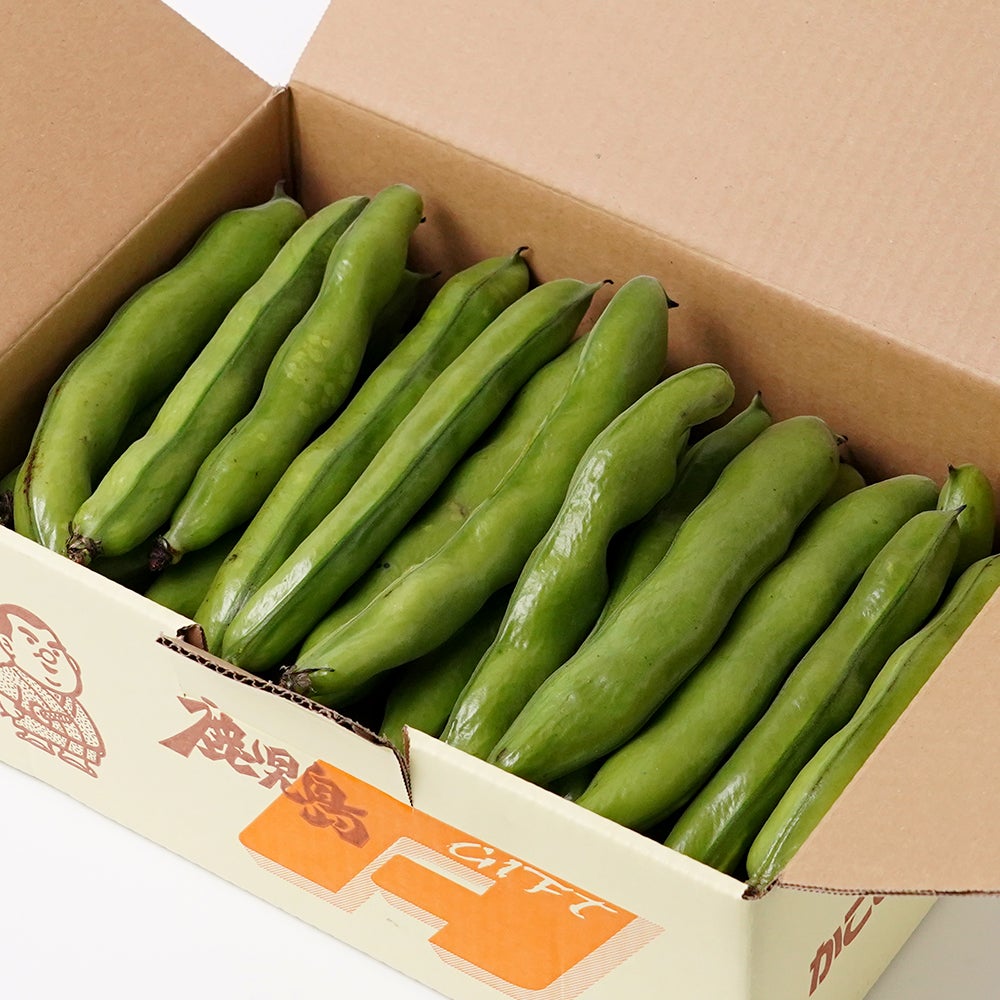 鹿児島県産 そらまめ 2キロ Lサイズのギフト通販・お取り寄せ | JA