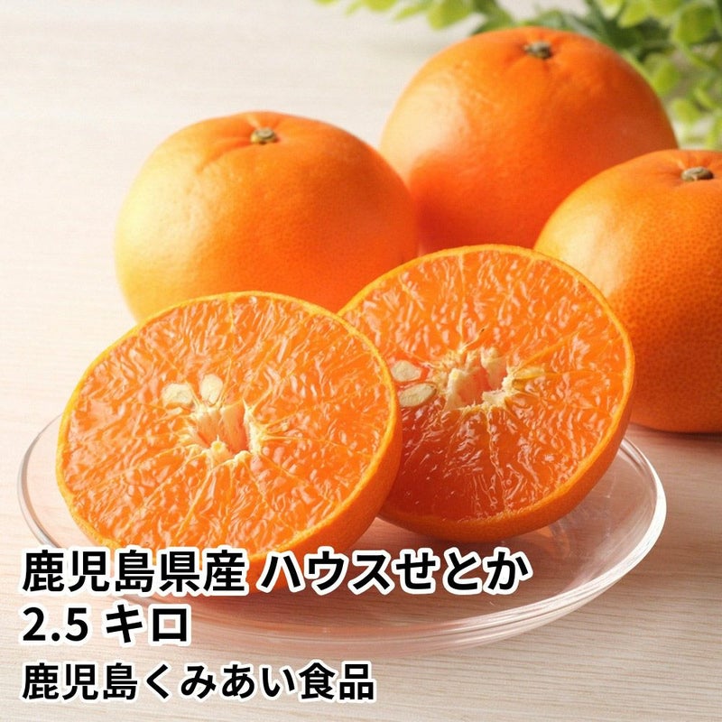 鹿児島県産 ハウスせとか 2.5キロ 5L～2Lサイズの商品画像01