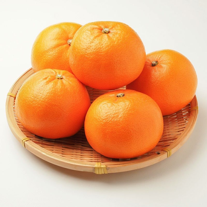 鹿児島県産 ハウスせとか 2.5キロ 5L～2Lサイズの商品画像02