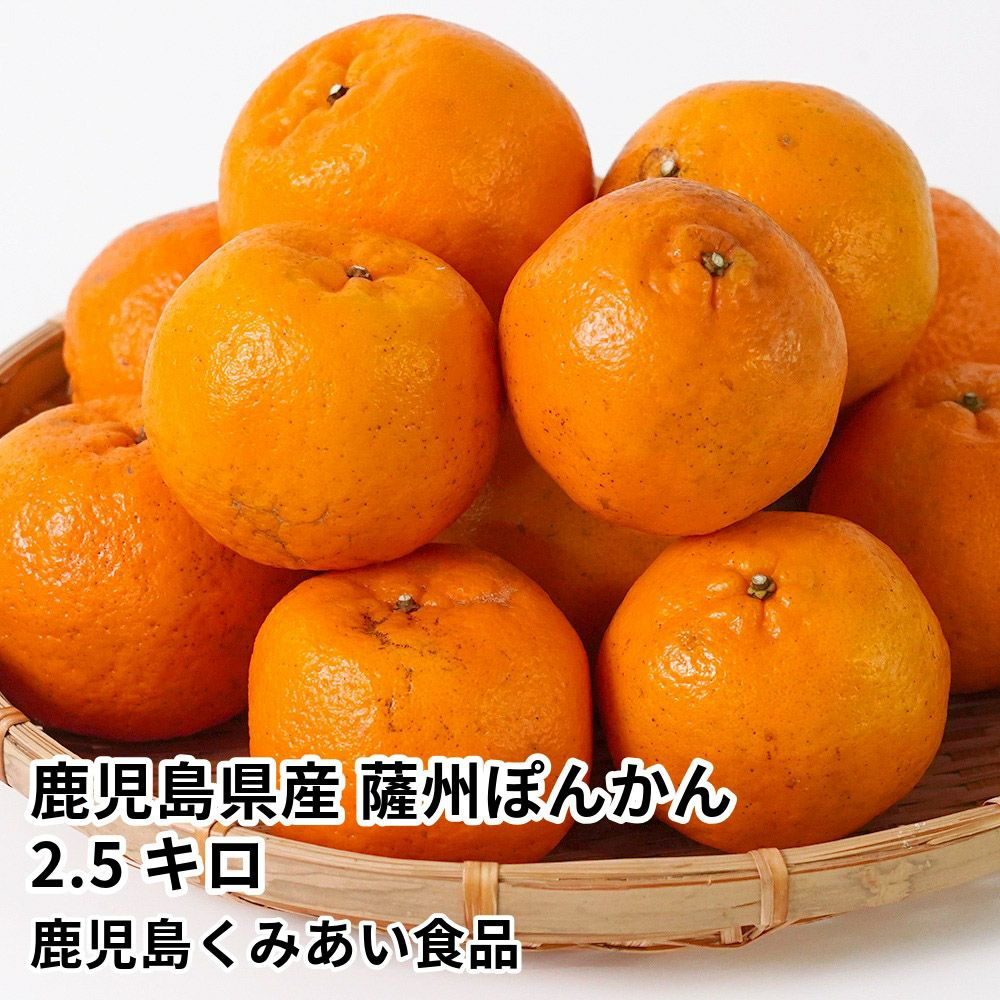 鹿児島県産 薩州ぽんかん 2.5キロ 2L～Mサイズの商品画像01