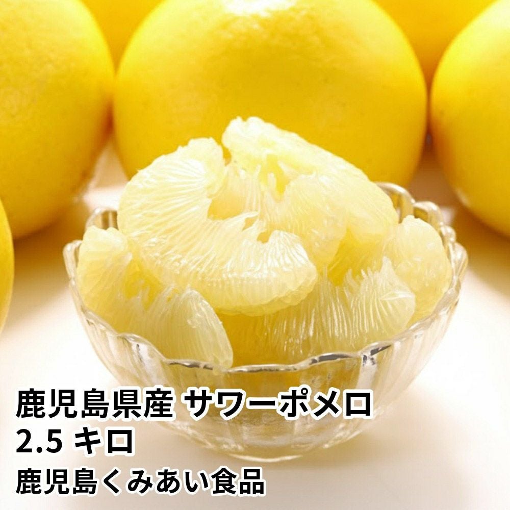 サワーポメロ のギフト通販・お取り寄せ | JA鹿児島ふるさと便【公式】