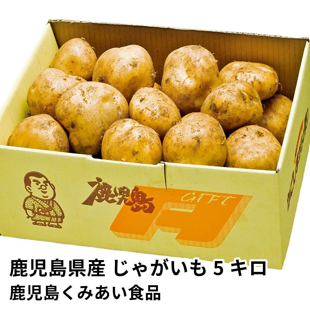 鹿児島県産 じゃがいも 5キロ 2L・Lサイズのギフト通販・お取り寄せ
