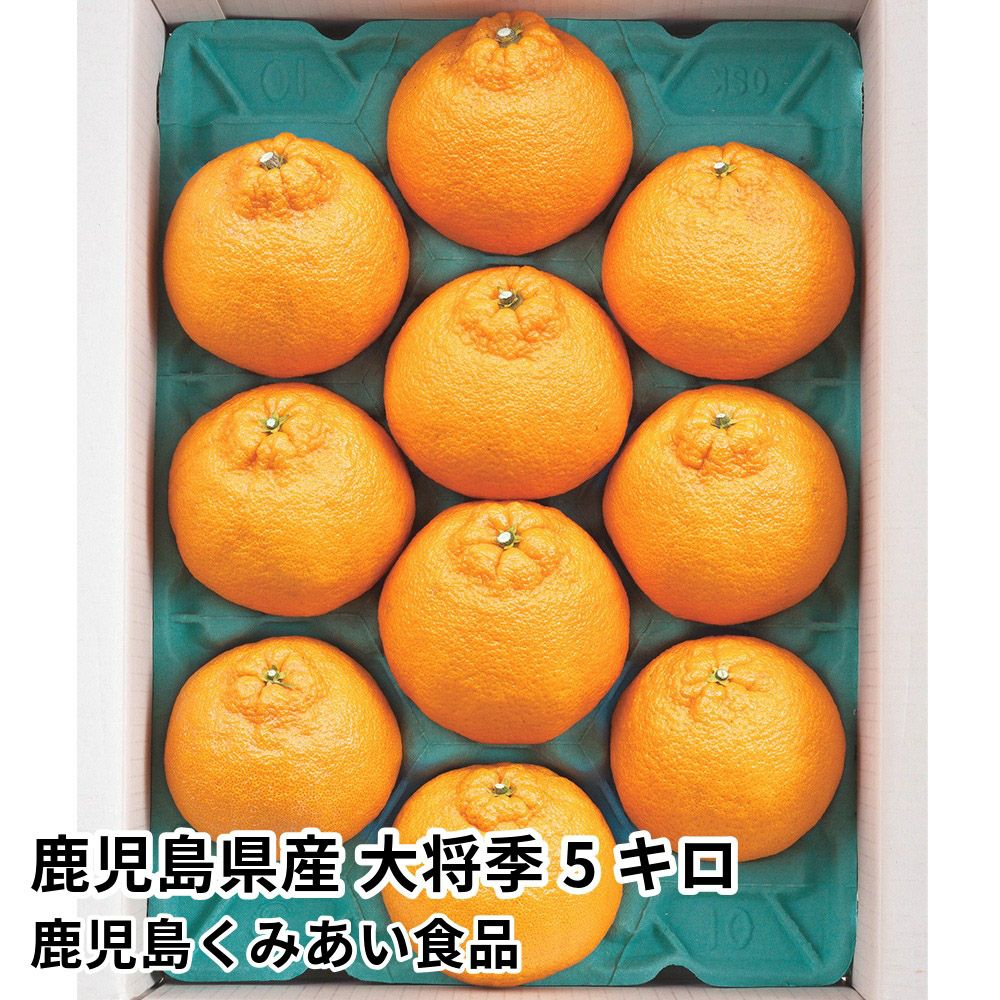 鹿児島県産 大将季 5キロ 5L～2Lサイズの商品画像01
